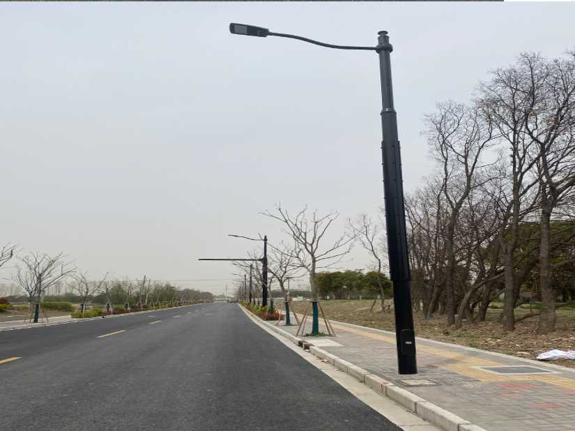 伊美区上海综合杆 太阳能路灯工程